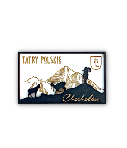 Tatry Zakopane Magnes na Lodówkę Dolina Chochołowska