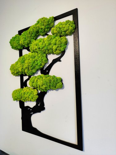 Obraz z mchu. Drzewko bonsai.
