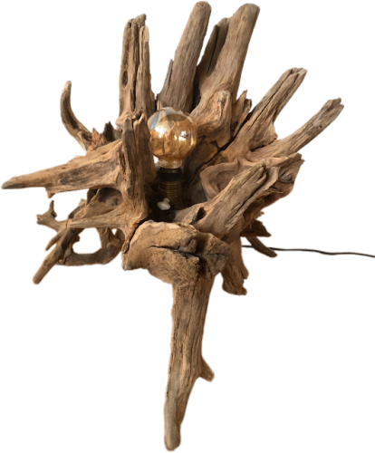 Lampa z korzenia