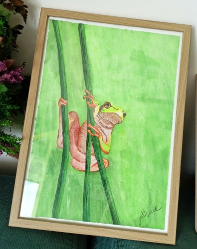 Obraz A4 – Zielona Rzekotka (akwarela)